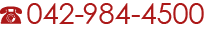 042-984-4500